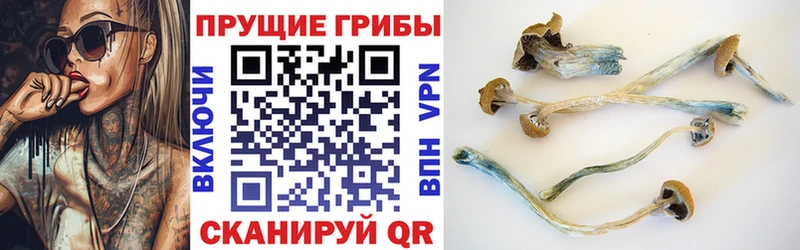 Галлюциногенные грибы мухоморы  мега как зайти  Оленегорск  сколько стоит 